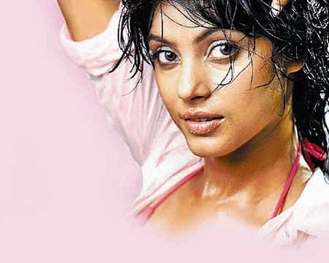 திரைக்கதிர்