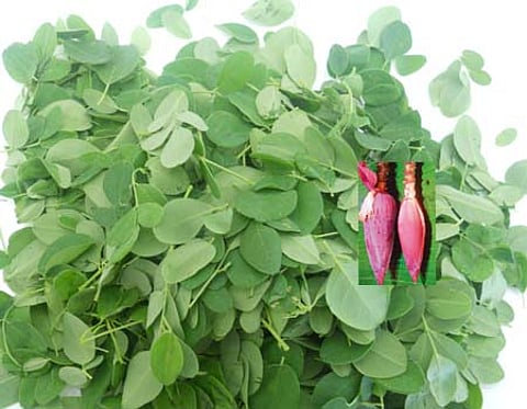 ஆயுள் காக்கும் ஆயுர்வேதம்: உடல் சூட்டினால் வரும் தும்மல் நீங்க...