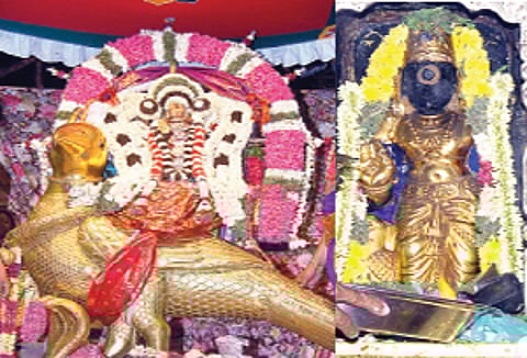 தங்க வாகனத்தில் சனீஸ்வரர்!