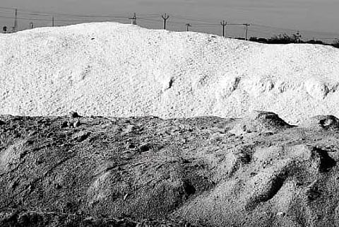 உப்பளங்களில் படியும் அனல் மின் நிலைய சாம்பல்: உப்பு உற்பத்தி பாதிப்பு