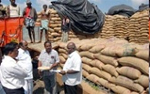 வேதாரண்யத்தில் சம்பா நெல் சாகுபடி பாதிக்கும் அபாயம்