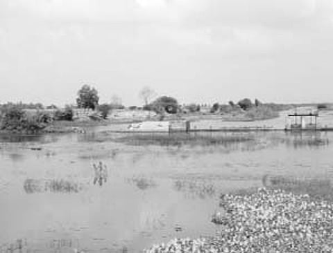 கடலில் வீணாகும் பாசன நீர்