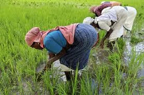இதுவும் ஒரு போராட்டம்தான்.. காவிரிக்காக குரல் கொடுக்கும் திரையுலகினர் கவனத்துக்கு!