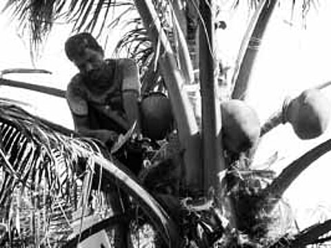 மதுவிலக்குக் கொள்கையில் ஊசலாட்டமும் பாரபட்சமும்...