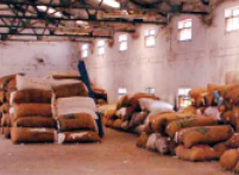 விழுப்புரம் மாவட்டத்தில் கனவாகிப்போன பருத்தி விளைச்சல்