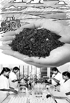 மண்ணைப் படிக்கும் விஞ்ஞானம் இது