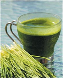 ஆயுள் காக்கும் ஆயுர்வேதம்: சூடு தணிய அருகம்புல்