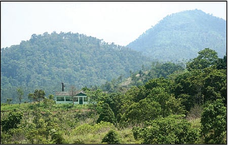 அரிய தாவரங்களின் பொக்கிஷம்!