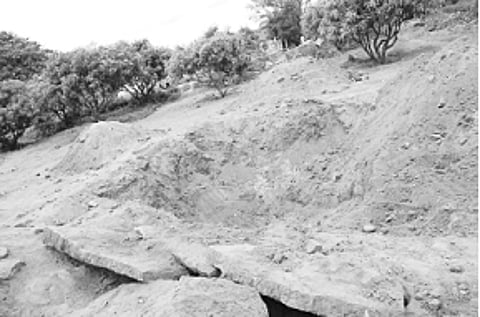 தமிழரின் கலாசாரத்தில் அதிகாரத்தின் அடையாளமாக இருந்திருக்குமா?
