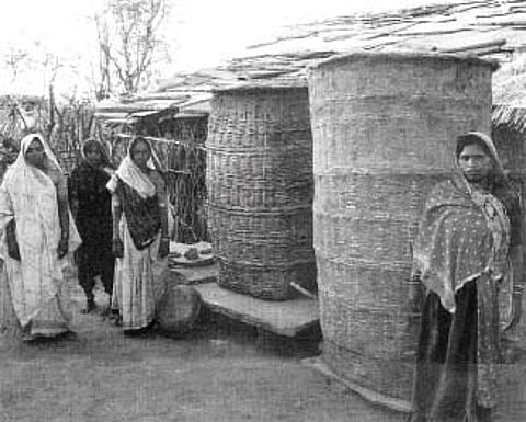 முன்னோடியாகத் திகழும் "ராஜஸ்தான்' விதைப் பண்ணைகள்: தமிழகத்திலும் அமைக்கலாமே!