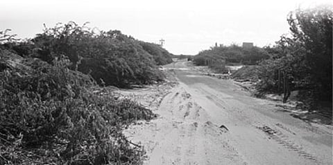 வேதாரண்யம் பகுதியில் கடற்கரைச் சாலை அமையுமா?