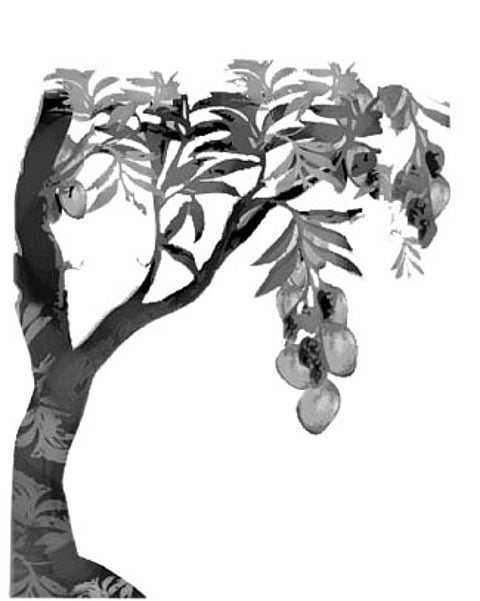 விளைச்சல் குறைவு: மாம்பழக் கூழ் உற்பத்தி பாதிப்பு!