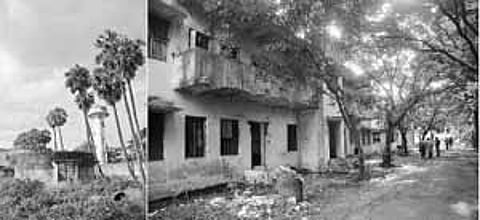 பராமரிப்பில்லாத பனந்தோப்பு ரயில்வே குடியிருப்பு