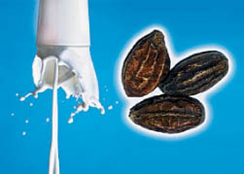 ஆயுள் காக்கும் ஆயுர்வேதம்: குல்மத்தைக் குணமாக்க...