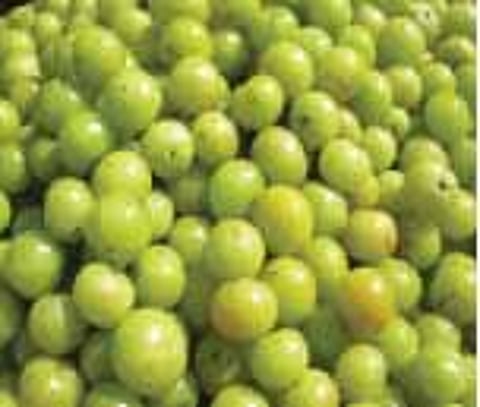 ஆரோக்கியக் கனி!