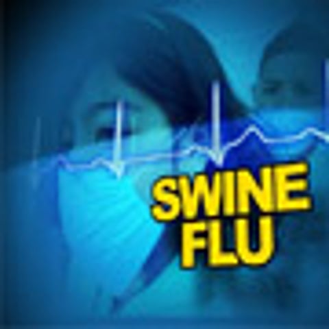 மகாராஷ்டிரத்தில் 142 பேருக்கு பன்றிக் காய்ச்சல், 7 பேர் பலி