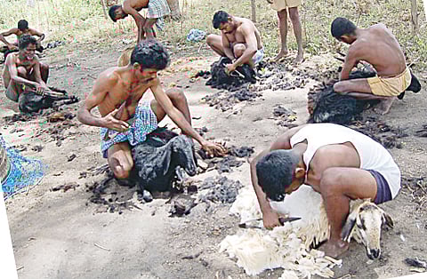 குருமன்ஸ் இன மக்களுக்கு கிடைக்குமா பழங்குடியினச் சான்றிதழ்?