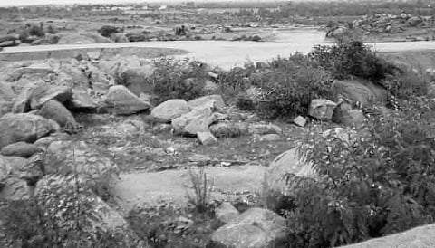 அடிக்கல் மட்டுமே நாட்டப்பட்ட நிலையில் கிடப்பில் போடப்பட்டுள்ள ஒசூர் ஐ.டி. பார்க் திட்டம்!