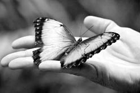 அகத்தின் அழகு முகத்தில் தெரியுமா?