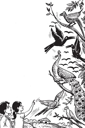 கிளிப் பேச்சு: மரங்கொத்தி