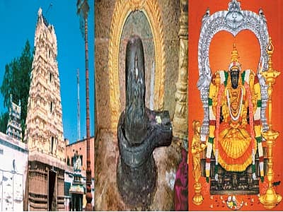 நல்லன எல்லாம் தரும் சக்திங்கம்!