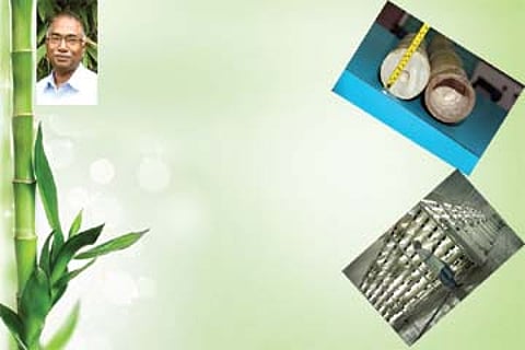 ஒரு டன் மூங்கில்; ஒரு மெகாவாட் மின்சாரம்!