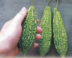 ஆயுள்காக்கும் ஆயுர்வேதம்: சிறுநீர் கழித்த இடத்தில் நிறைய எறும்புகள்... இது எந்த நோயின் அறிகுறி?