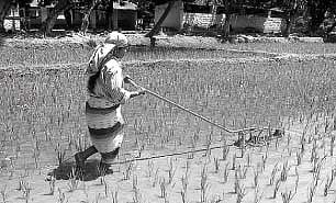 விவசாயிகளுக்கு பயனளிக்காத வேளாண் சேவை மைய இயந்திரங்கள்!