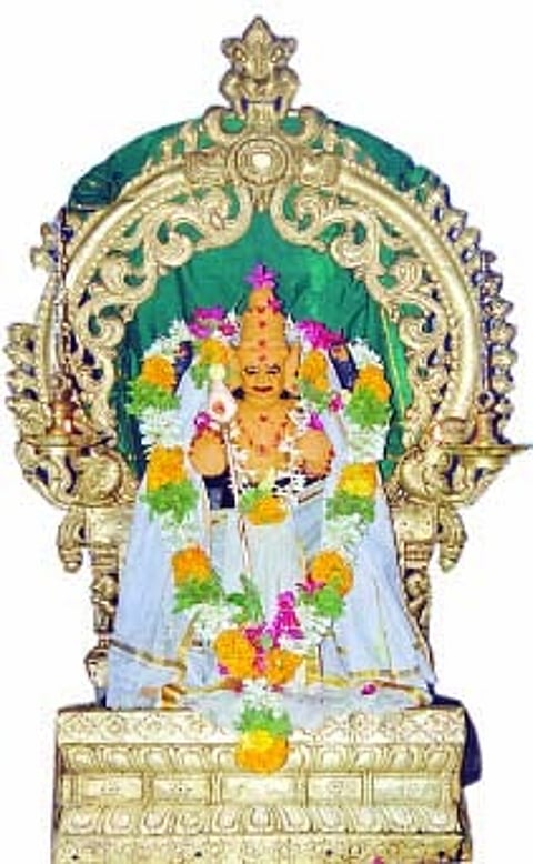 தோரண மலையில் அழகின் அரசன்!
