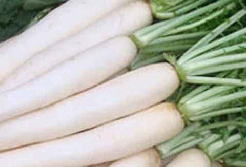 ஏராளமான சத்துக்கள் நிறைந்த முள்ளங்கி