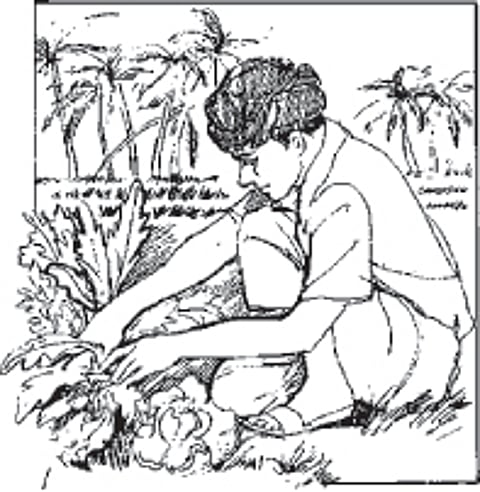 குறள் பாட்டு