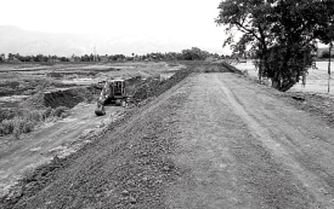 மராமத்துப் பணி என்ற பெயரில் 350 பனைமரங்கள் அழிப்பு!