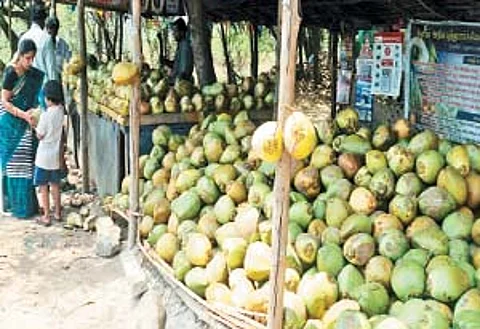 இளநீரில் இத்தனை நன்மைகளா?
