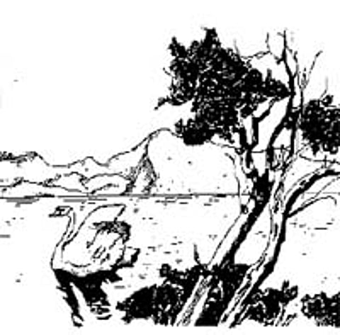 உக்ரேனிய நாடோடிக் கதை: மாஷாக் குட்டியும், வெள்ளி மீனும்!