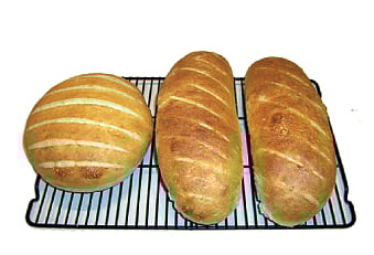 ரொட்டியின் சரித்திரம்!