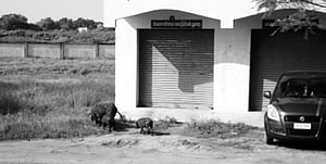 குடிநீருக்காக அவதிப்படும் அரசு ஊழியர்கள்!