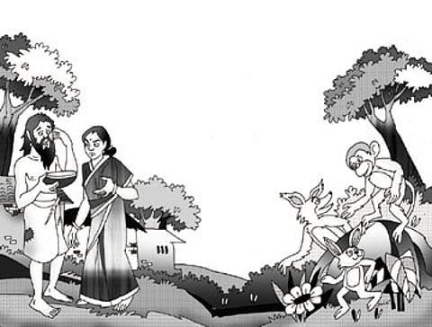 பௌர்ணமி முயல்