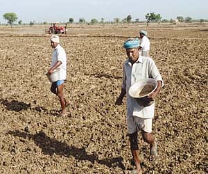 காவிரி நீர் இல்லாததால் நேரடி நெல் விதைப்பில் ஈடுபடும் விவசாயிகள்