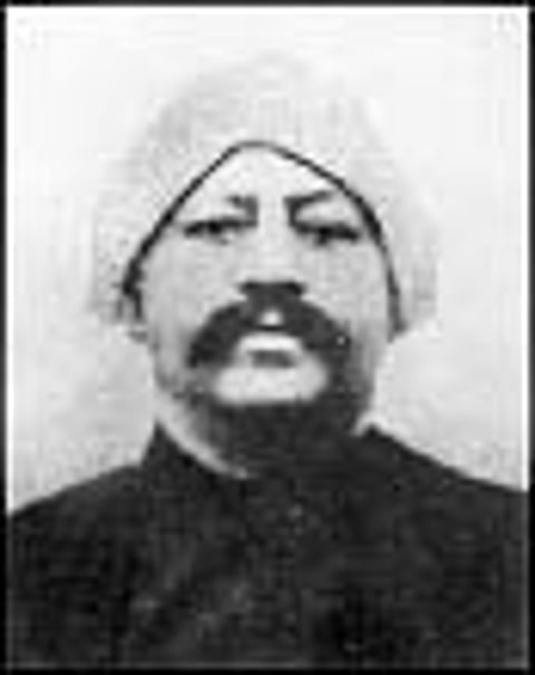 "தமிழிலக்கியத் தேனீ ' வி.கனகசபைப் பிள்ளை