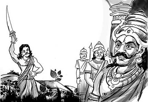 சிலந்தி வலையும் கேடயமாகும்!