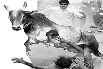 விளையாட்டல்ல விபரீதம்!