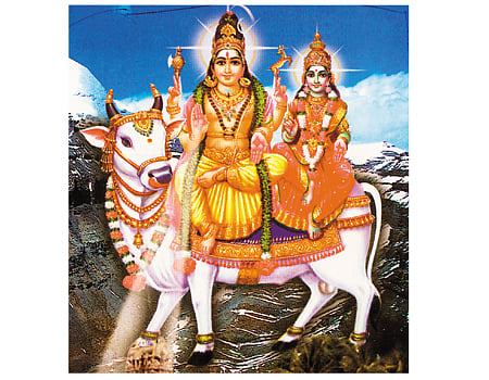 ஐயாறே ஐயாறே!