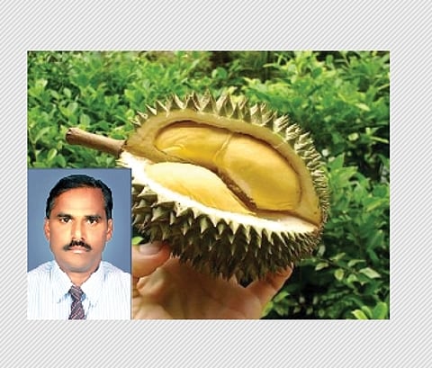 பழம் வாங்கப் பதிவு செய்ய வேண்டும்!