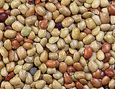 கொள்ளு, கொண்டைக்கடலை சாகுபடியில் அதிக வருவாய் பெற...