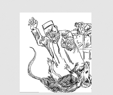 தங்க எலி