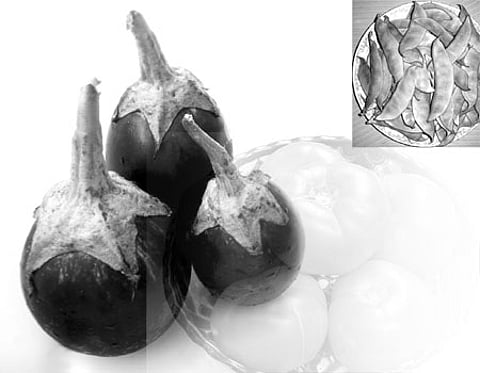 பாரம்பரிய விதைகள் எங்கே?