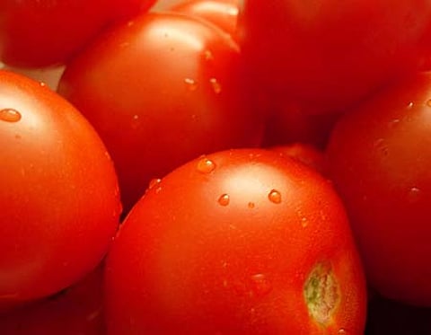 மலர் சாகுபடியை பெருக்கும் வழிமுறை!