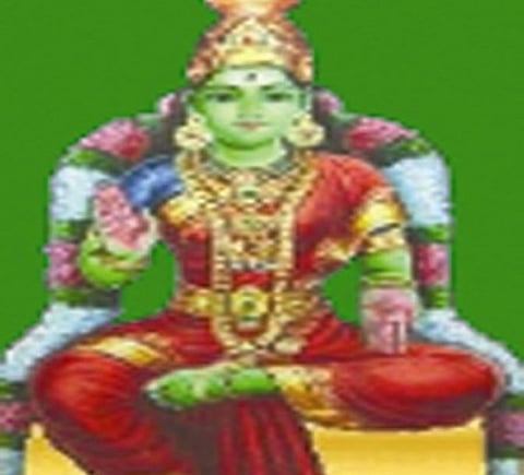 பச்சையம்மன் செய்த சிவபூஜை!