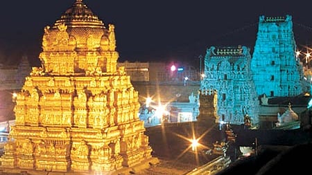 ஏழுமலையான் தரிசனம்: 12 மணி நேரம் காத்திருப்பு