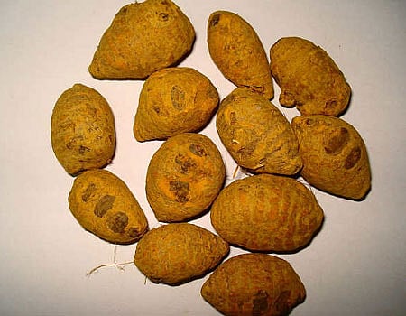 ஆயுள் காக்கும் ஆயுர்வேதம்: அழகாக..!